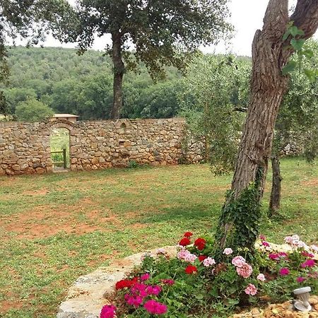 La Tenuta Di Castelvecchio San Gimignano Exteriér fotografie