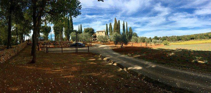 La Tenuta Di Castelvecchio San Gimignano Exteriér fotografie